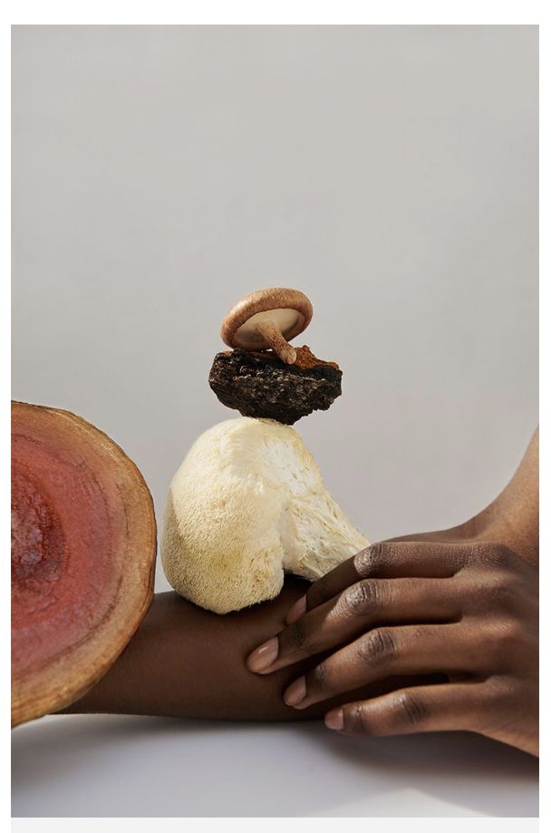 🧠 Efectos neuroprotectores de Hericium erinaceus (Melena de León) en adultos: qué dice la evidencia más reciente