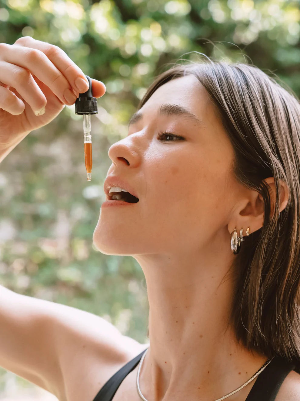 🍄 REISHI (CALMA + SISTEMA NERVIOSO)