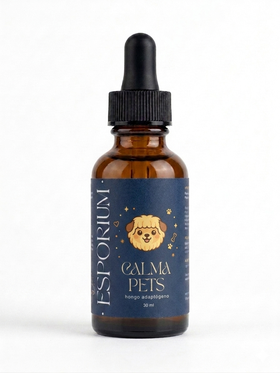 🐾 CALMA PETS (RELACIÓN + TRANQUILIDAD)