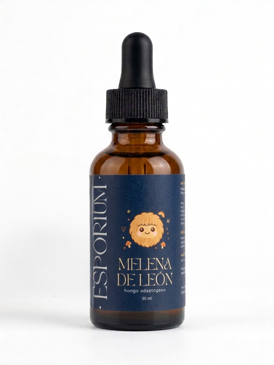 🧠 MELENA DE LEÓN KIDS (APRENDIZAJE + FOCO)