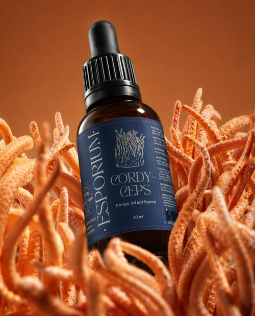 CORDYCEPS ⚡ (ENERGÍA + RENDIMIENTO)