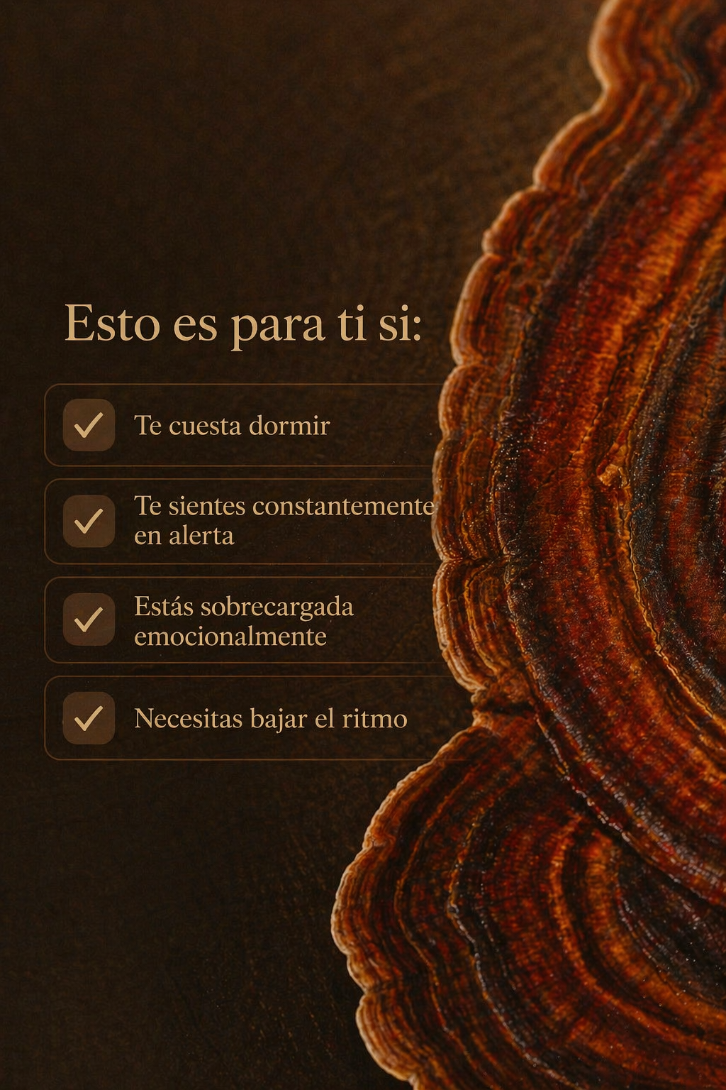 🍄 REISHI (CALMA + SISTEMA NERVIOSO)